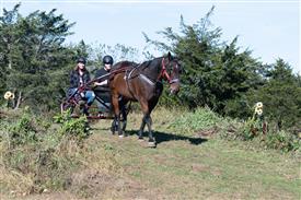 LR-WRF 10182025 Retreat-6462